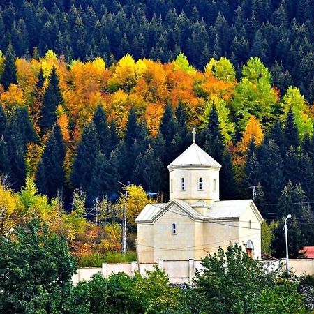 Отель Гостевой дом Buba Местия Экстерьер фото