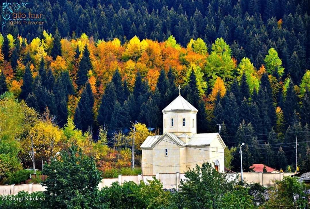 Отель Гостевой дом Buba Местия Экстерьер фото